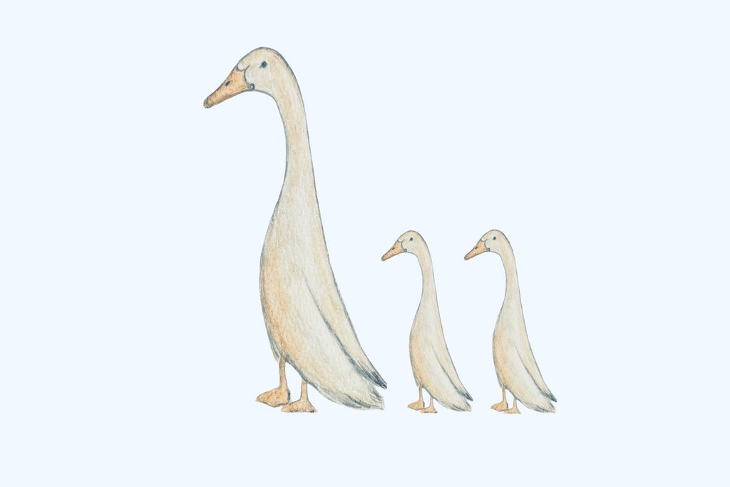 Framed Original Watercolor Duck Painting, 4x6 & 5x7